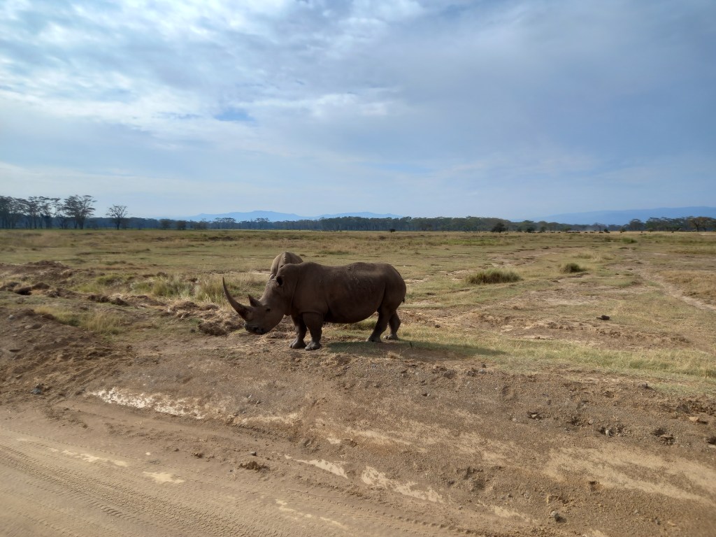 Kenya: i parchi piu&nbsp;belli