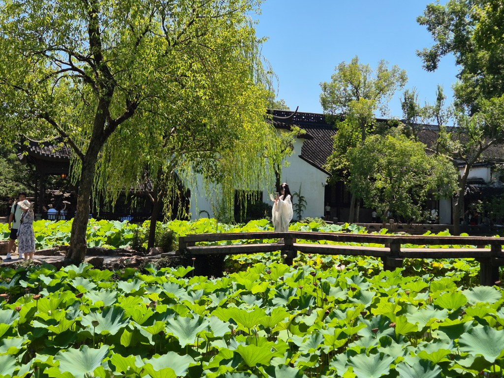 Una settimana in viaggio da sola in Cina: da Shanghai a&nbsp;Hangzhou